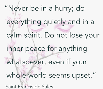 Saint Francis de Sales